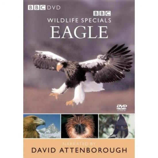 مستند Wildlife Specials Eagle