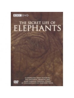 مستند The Secret Life of Elephants