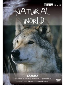 مستند Natural World - Lobo - The Wolf That Changed America
