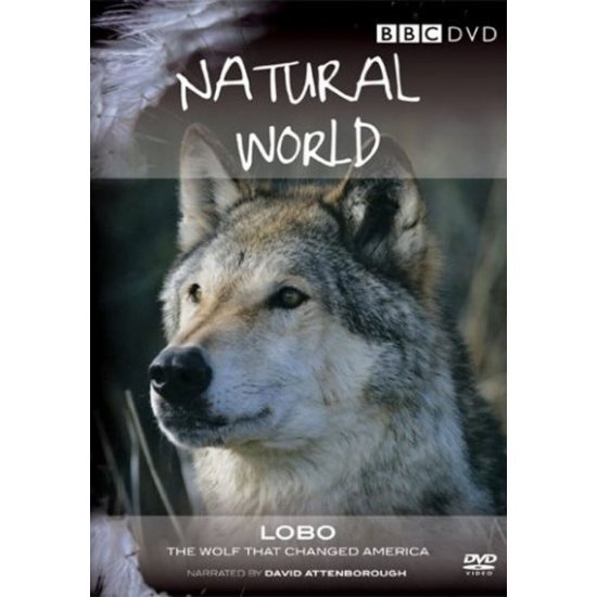 مستند Natural World - Lobo - The Wolf That Changed America