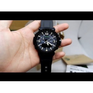 Casio best sale prg 600y