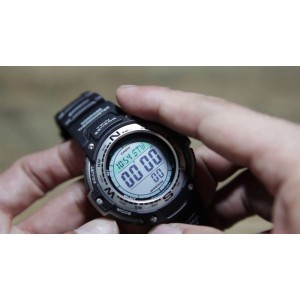 Sgw 100 cheap casio