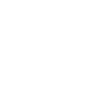 گارمین