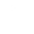 فین