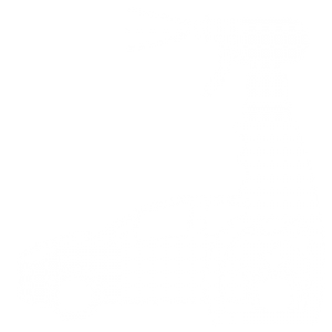 نظافت و نگهداری خودرو