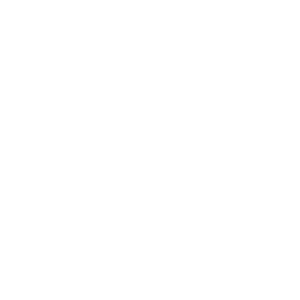Red Bull Spect