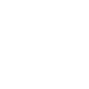 Swisseye