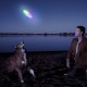 فریزبی مدل Nite Ize - Flashflight Dog Discuit