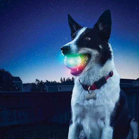 توپ چراغ دار بازی سگ مدل Nite Ize - Glowstreak