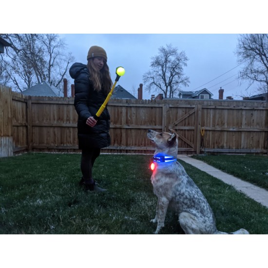 قلاده چراغ دار سگ مدل Nite Ize - Collar