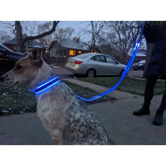 بند قلاده چراغ دار سگ مدل Nite Ize - Leash