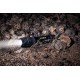 چراغ قوه مدل Varta - Indestructible F20 Pro چراغ قوه مدل Varta - Indestructible F20 Pro