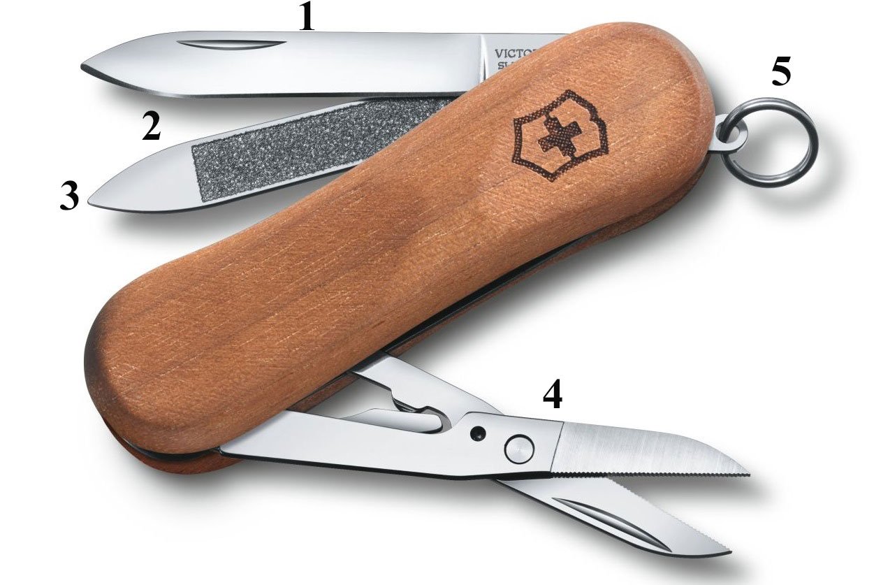 چاقو 5 کاره مدل Victorinox - Evolution Wood 81